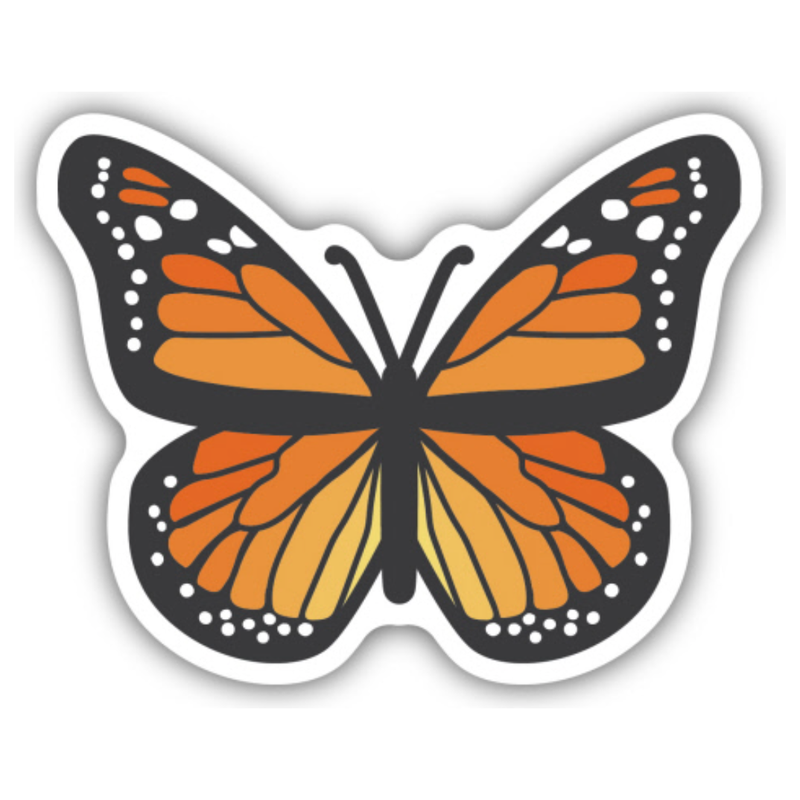 Monarch Butterfly