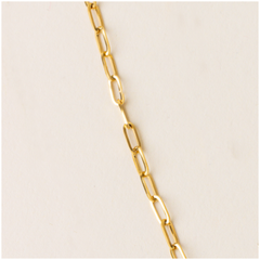 Everly Paper Clip Necklace Chain