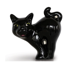 Scaredy Cat 