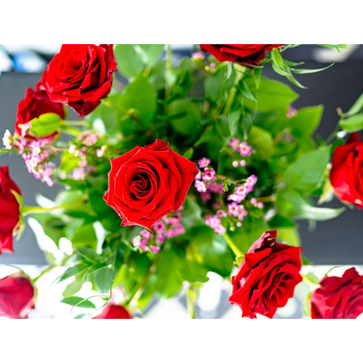 One Dozen Roses | Red