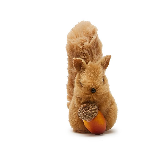 Squirrel with Acorn