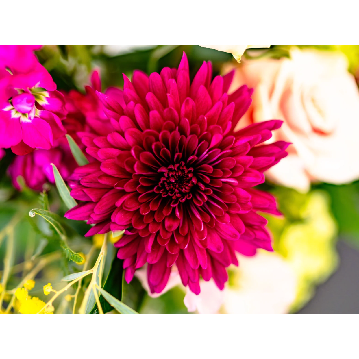 Sweet Memories |Delivery in Parkville, Missouri