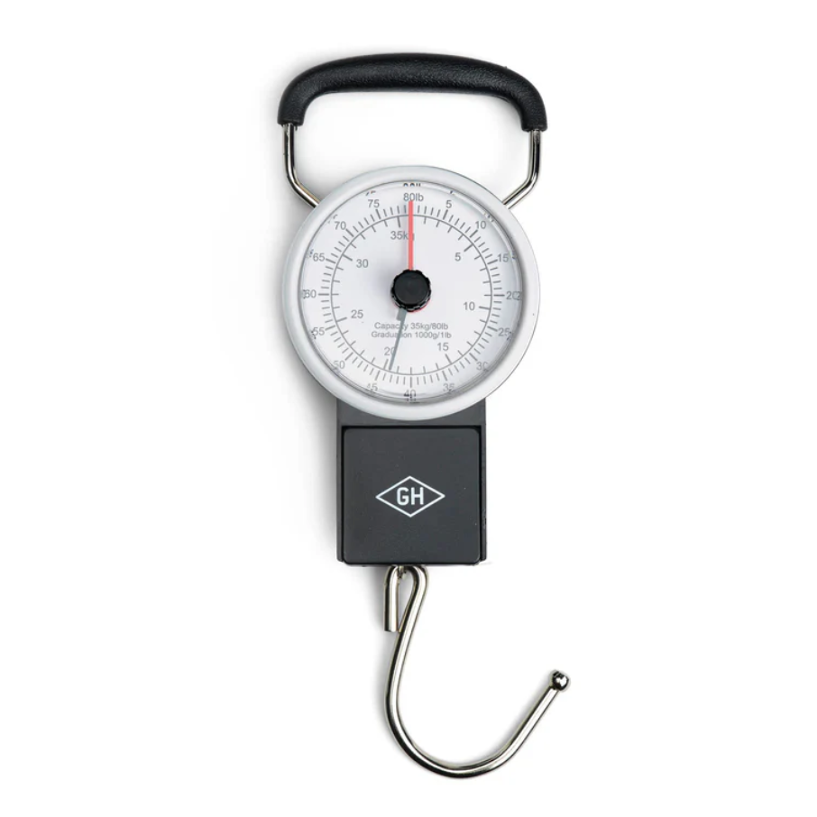 Travel Scale