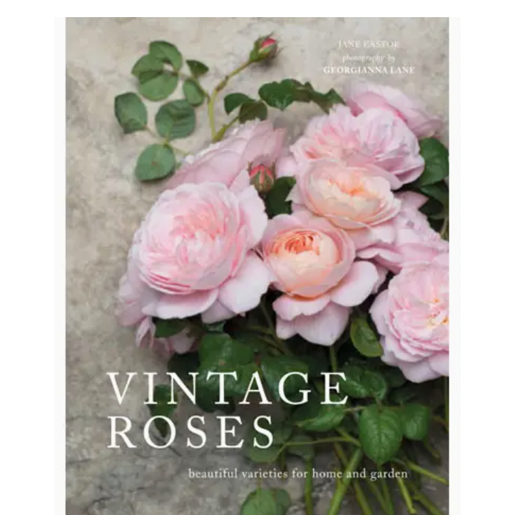 Book cover with pink roses and green leaves on a textured background