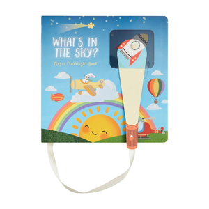 What's in the Sky Flashlight Book