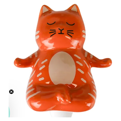 Yoga Cat