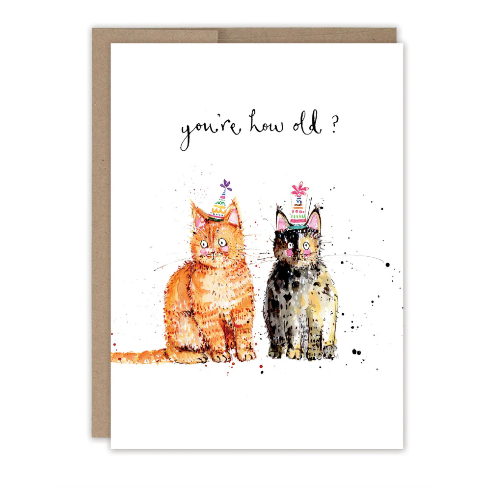 Greeting card with two cats wearing birthday hats and text 'you're how old?' on a white background.