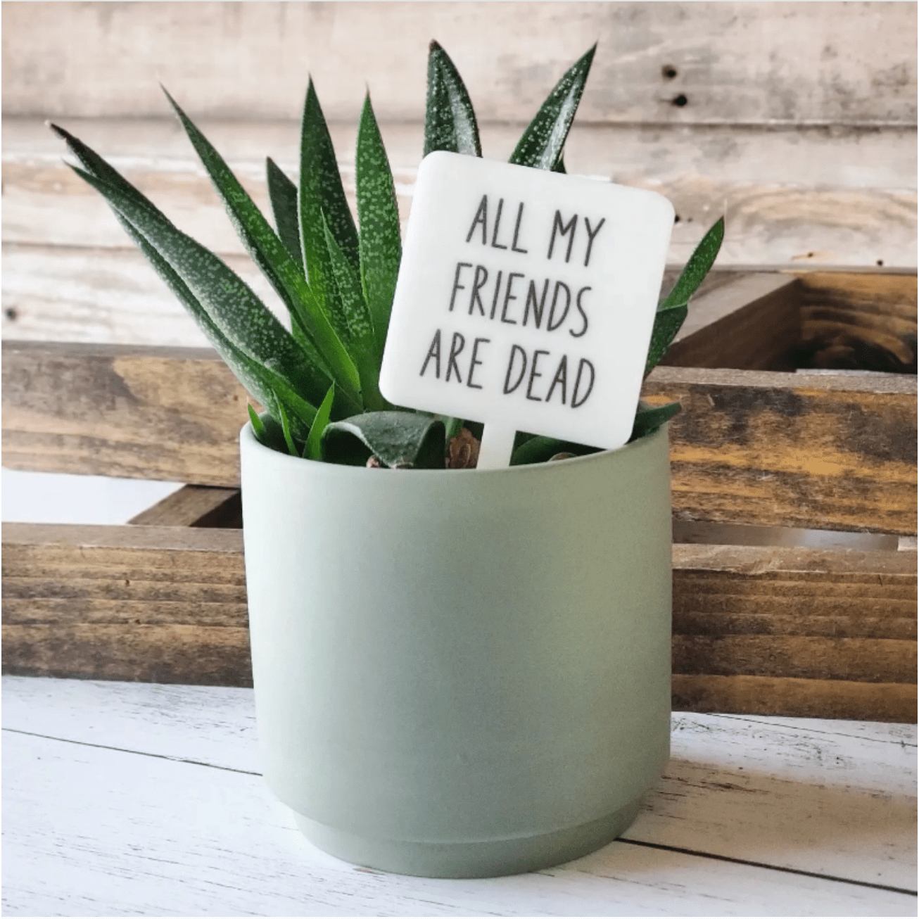 All My Friends Are Dead Plant Marker Stakes - White Farmhouse Flowers