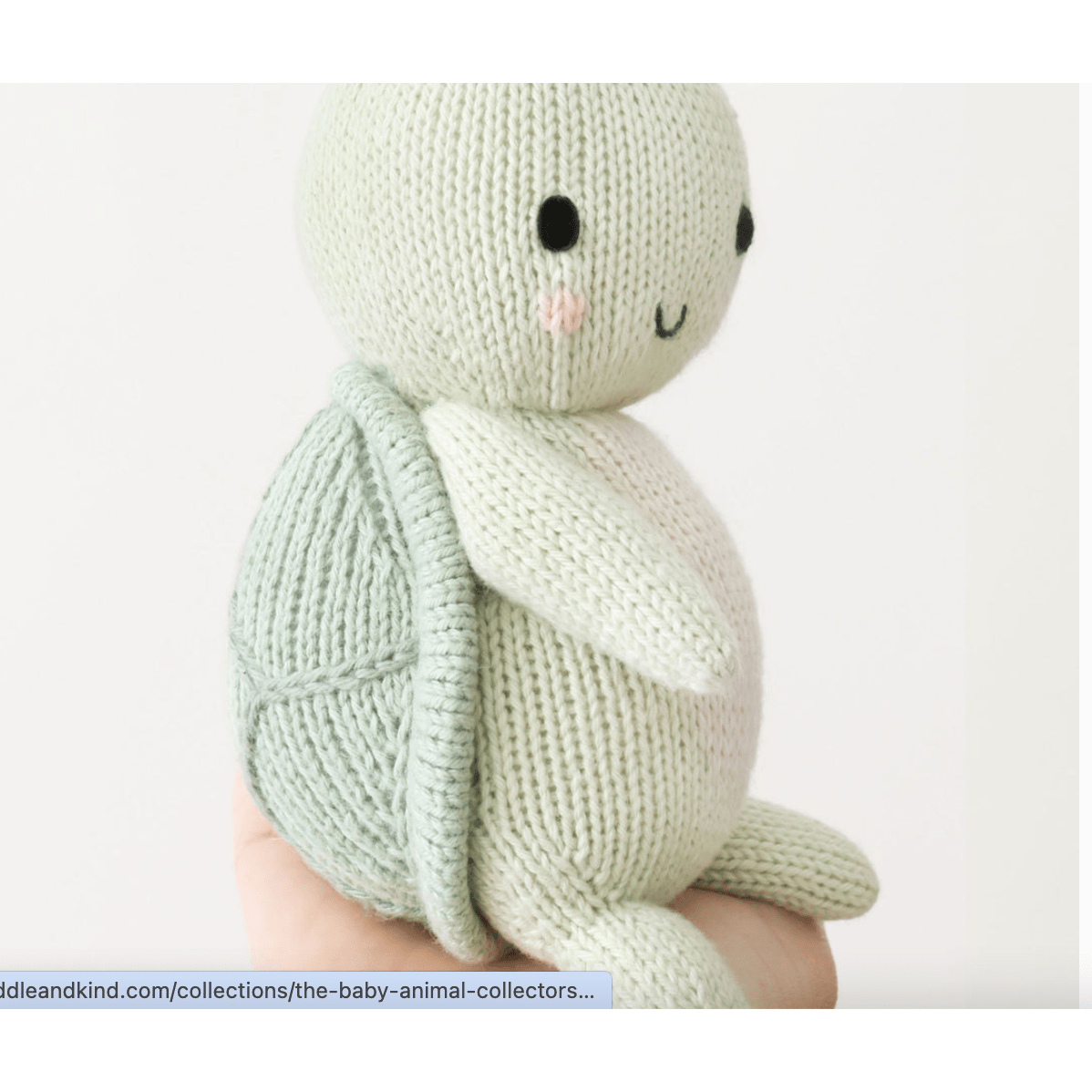 Baby Turtle - White Farmhouse Flowers