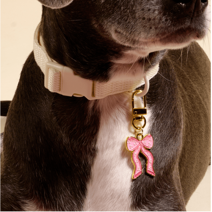 Bow Pink Pawfect Collar Charm - White Farmhouse Flowers