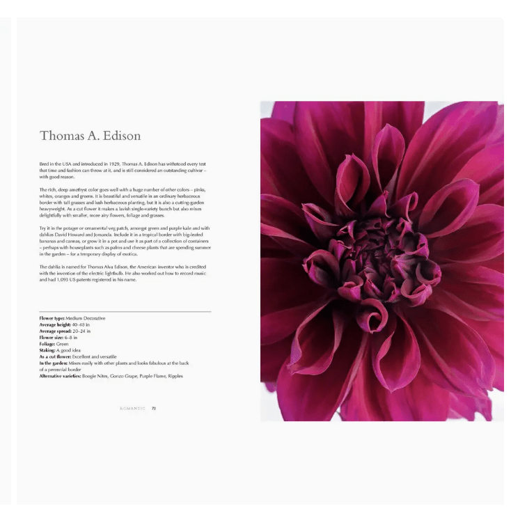 Dahlia's Coffee Table Book - White Farmhouse Flowers