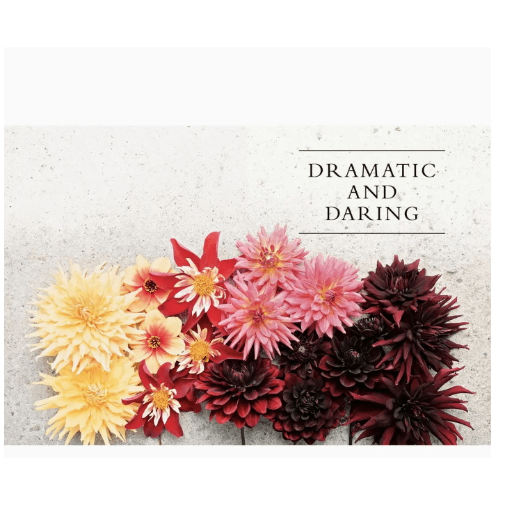 Dahlia's Coffee Table Book - White Farmhouse Flowers
