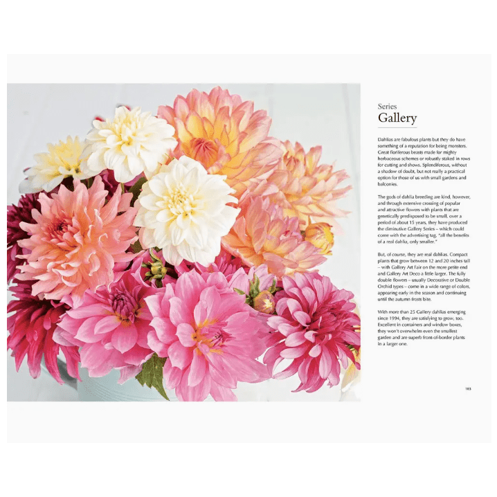Dahlia's Coffee Table Book - White Farmhouse Flowers