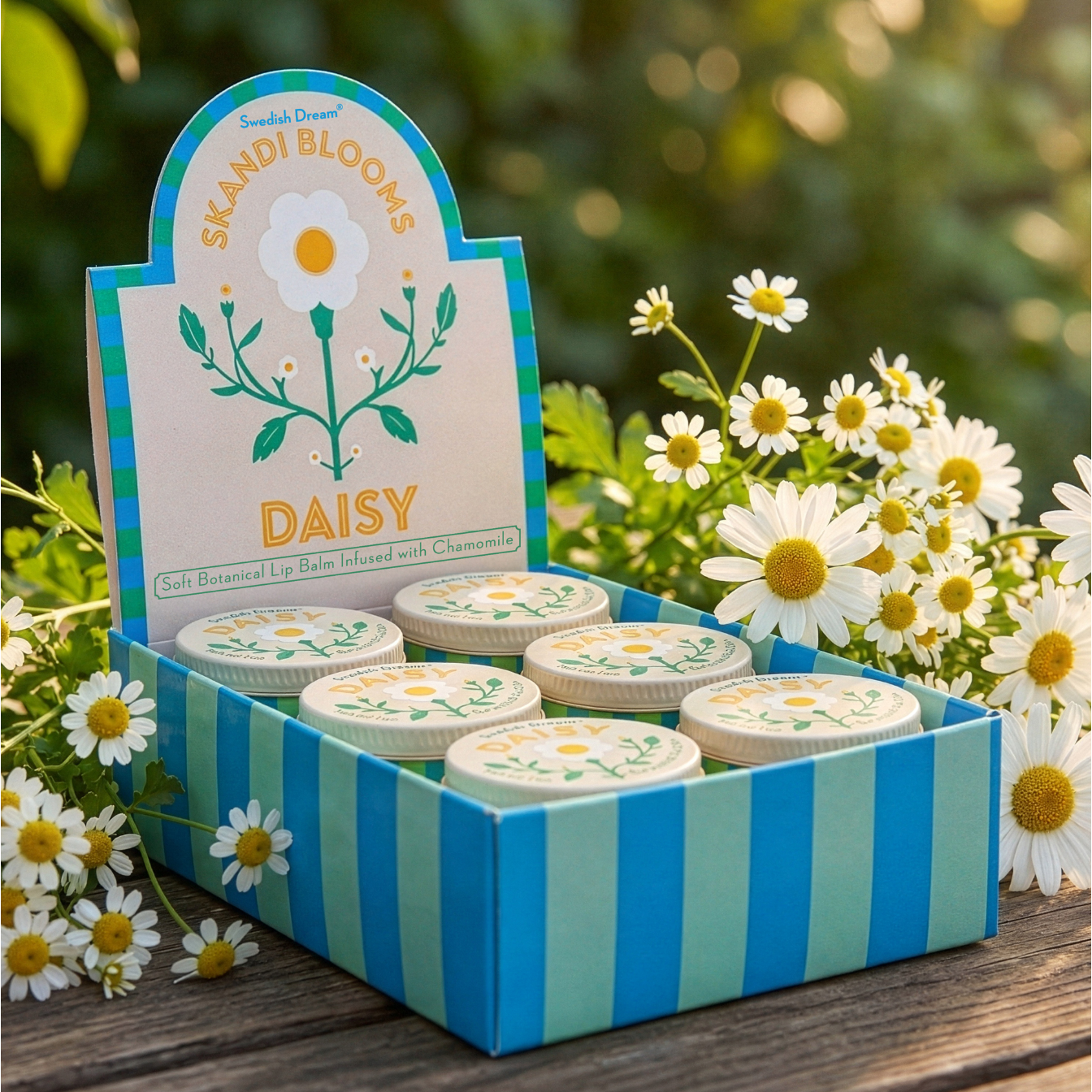 Daisy Lip Balm - White Farmhouse Flowers