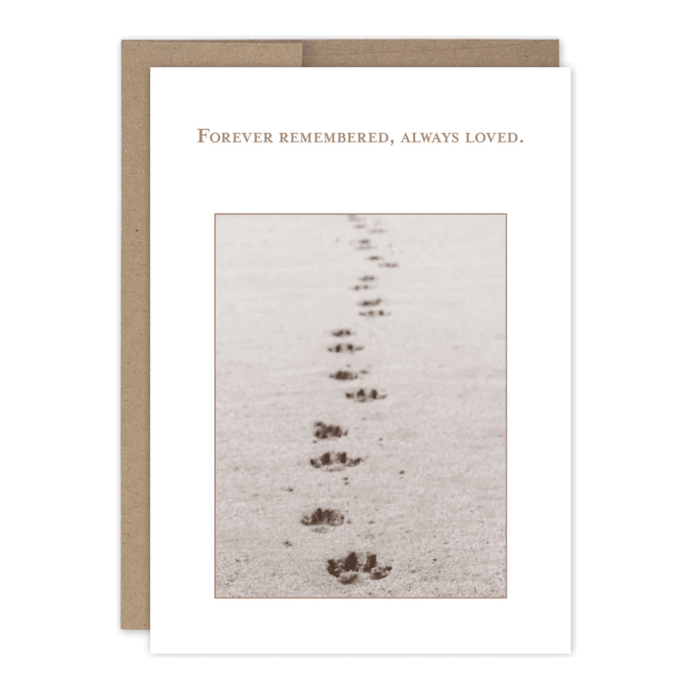 Forever Remembered Pet Sympathy Card SM788 - White Farmhouse Flowers