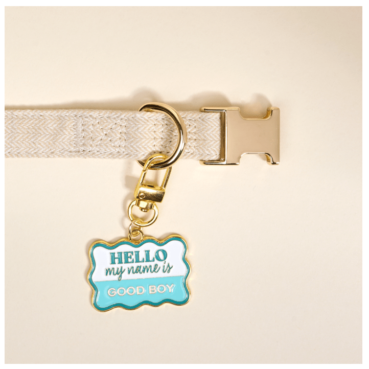 Good Boy Pawfect Collar Charm - White Farmhouse Flowers