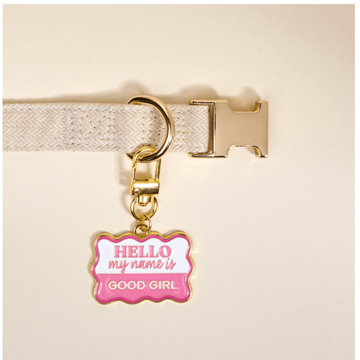 Good Girl Pawfect Collar Charm - White Farmhouse Flowers