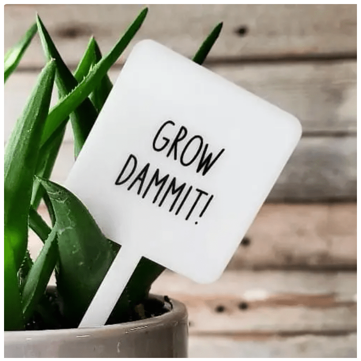 Grow Dammit! Plant Marker Stake - White Farmhouse Flowers