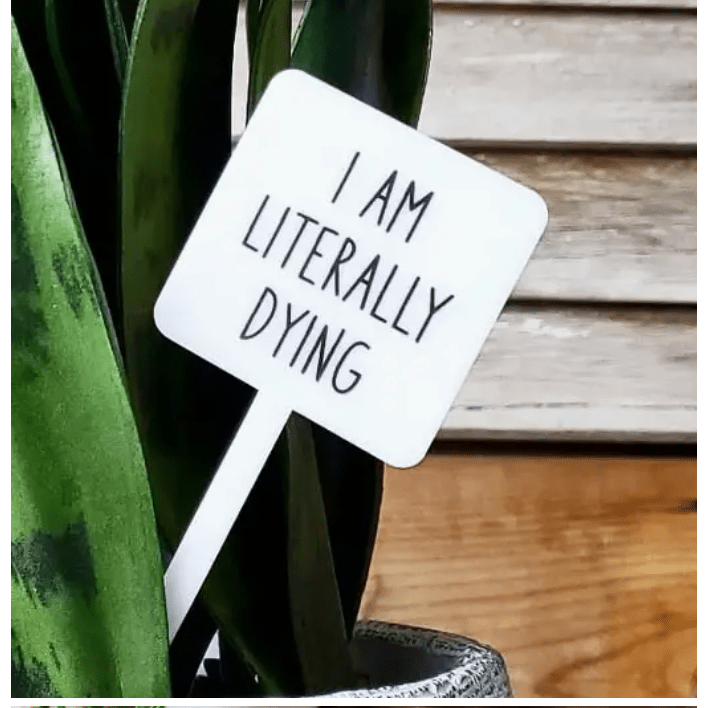 I Am Literally Dying Plant Marker Stake - White Farmhouse Flowers
