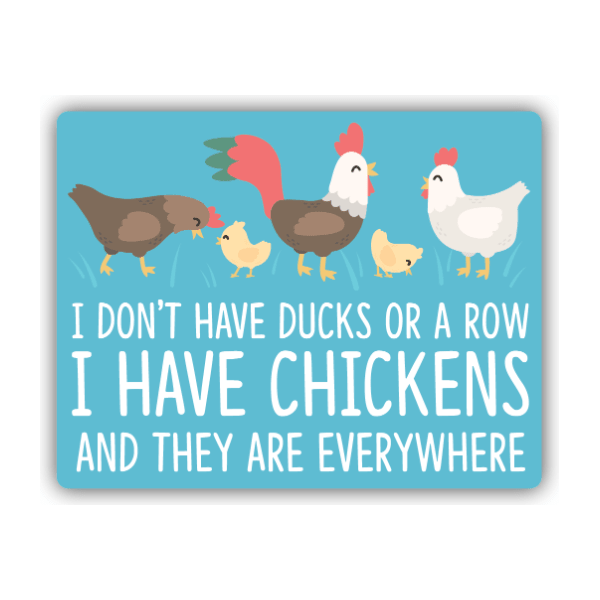I Don't Have Ducks in a Row I Have Chickens Sticker - White Farmhouse Flowers