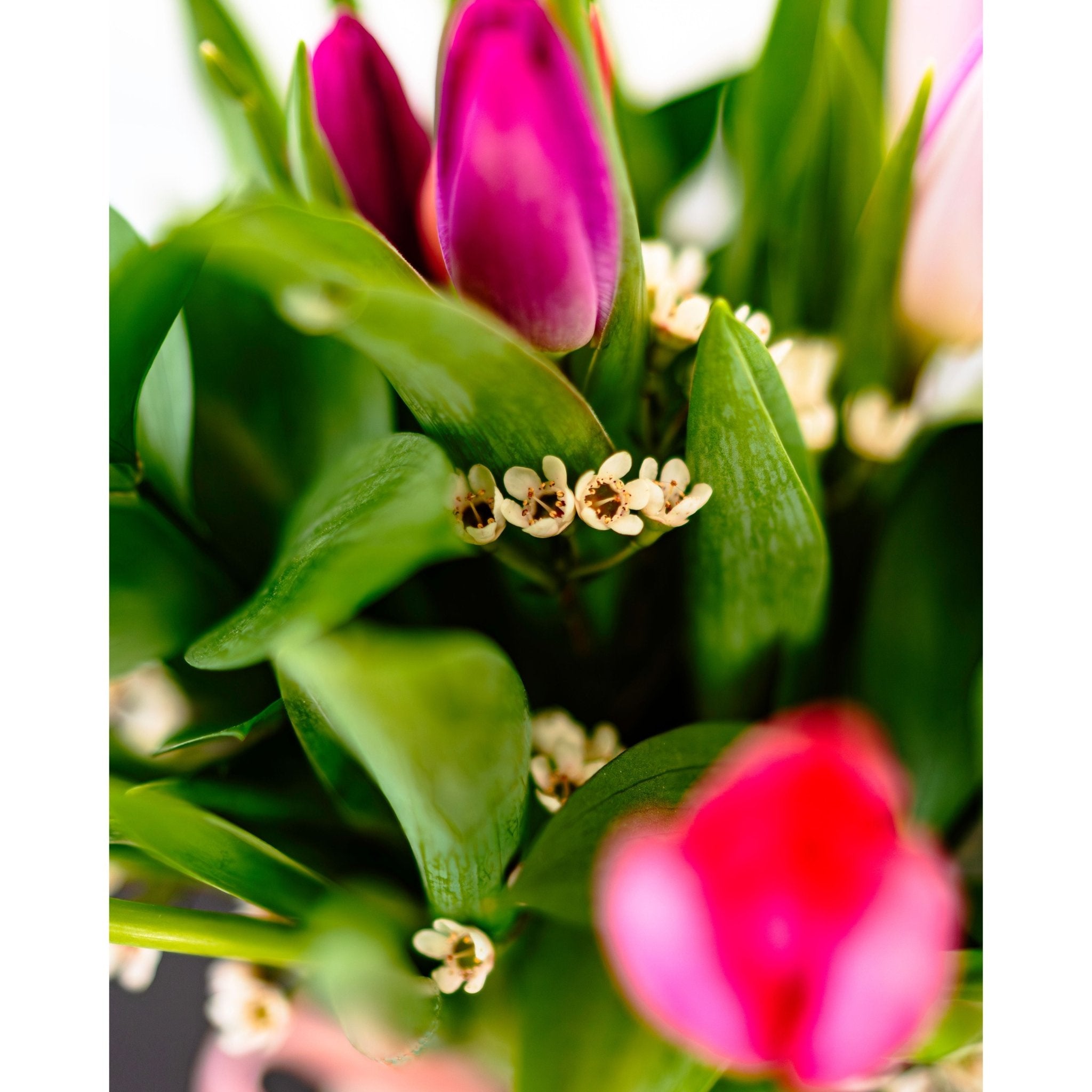 New Romantics - White Farmhouse Flowers