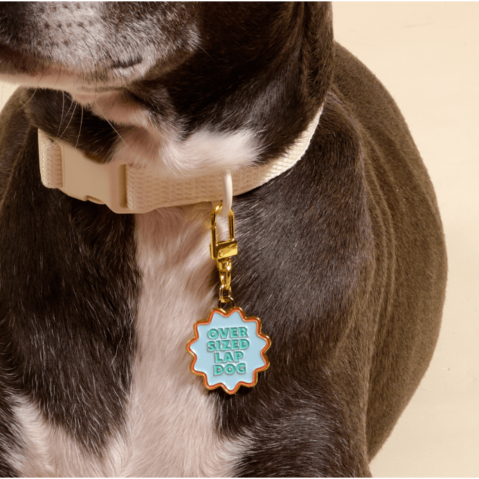 Oversized Lap Dog Pawfect Collar Charm - White Farmhouse Flowers