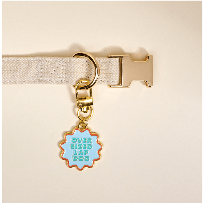 Oversized Lap Dog Pawfect Collar Charm - White Farmhouse Flowers