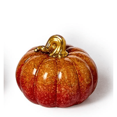 Painted Pumpkin - White Farmhouse Flowers