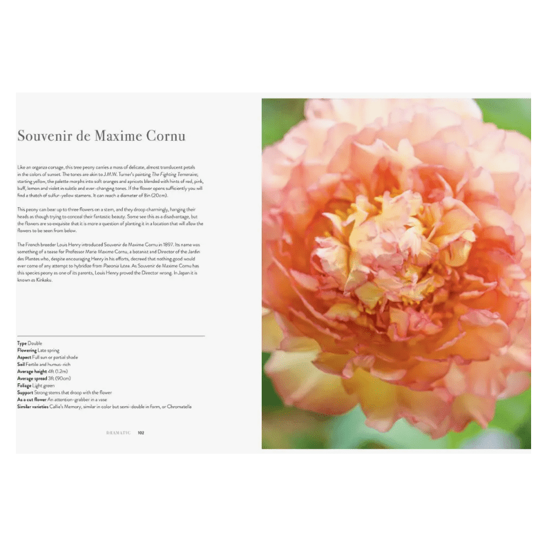 Peonies Coffee Table Book - White Farmhouse Flowers