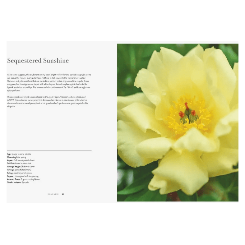 Peonies Coffee Table Book - White Farmhouse Flowers