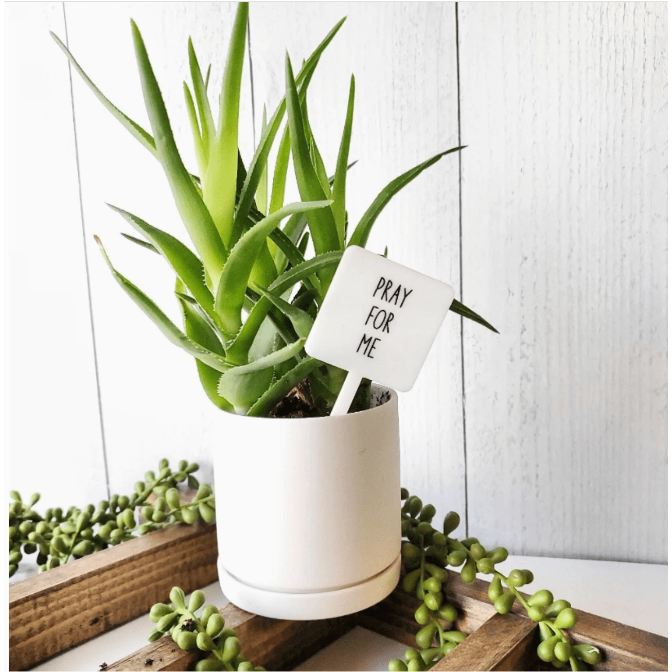 Pray For Me Plant Marker Stake - White Farmhouse Flowers