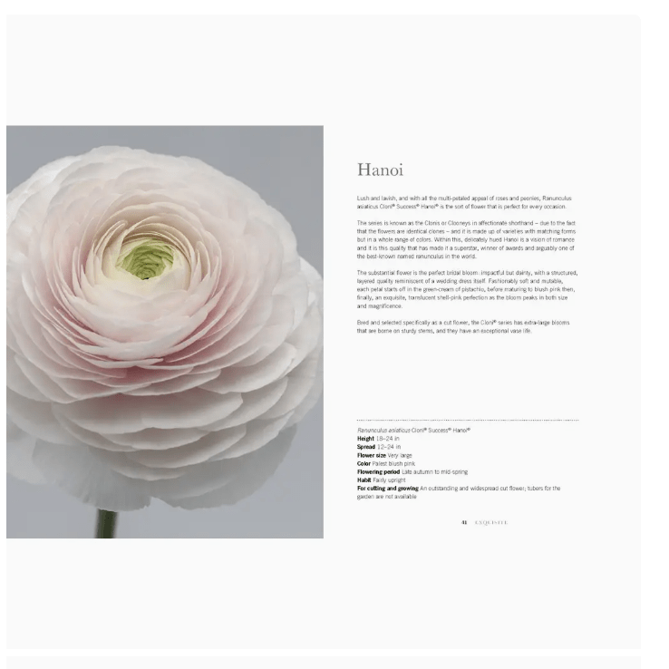 Ranunculus Coffee Table Book - White Farmhouse Flowers