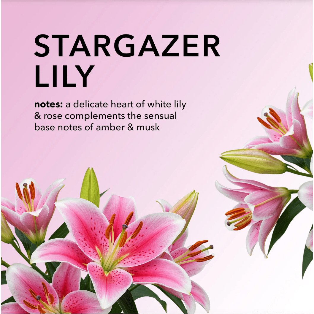 Stargazer Lily Hand and Body Cream 3.3 oz. - White Farmhouse Flowers