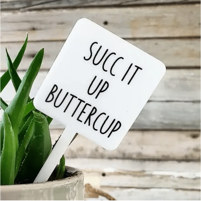 Succ It Up Buttercup Plant Marker Stake - White Farmhouse Flowers