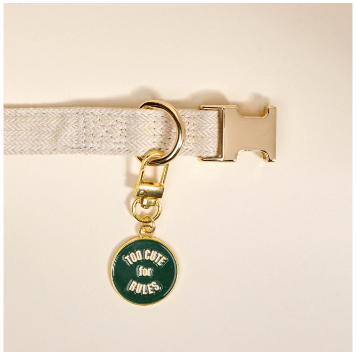 Too Cute for Rules Pawfect Collar Charm - White Farmhouse Flowers