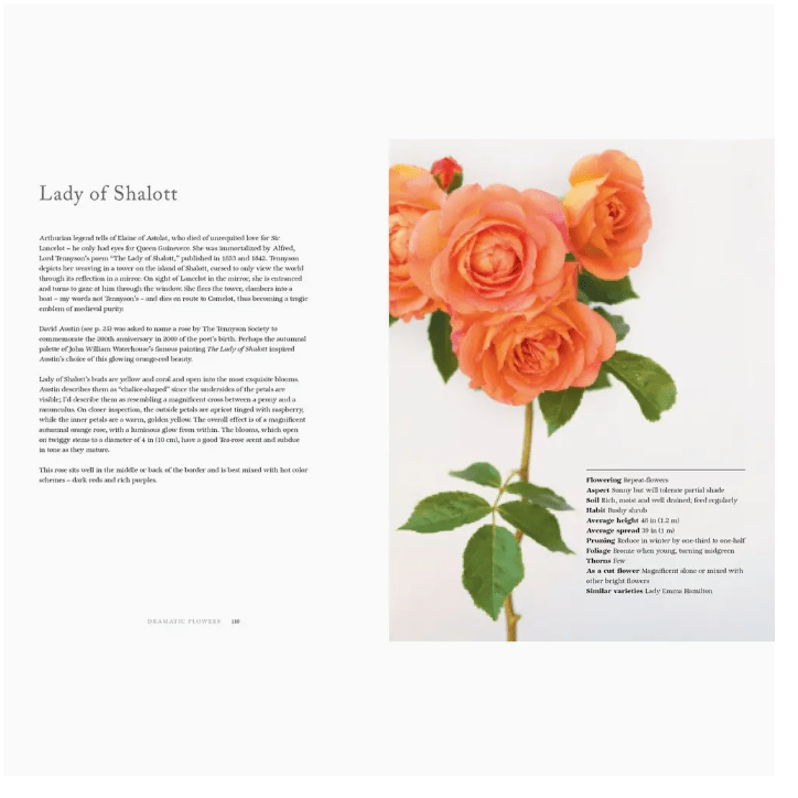 Vintage Roses Coffee Table Book - White Farmhouse Flowers