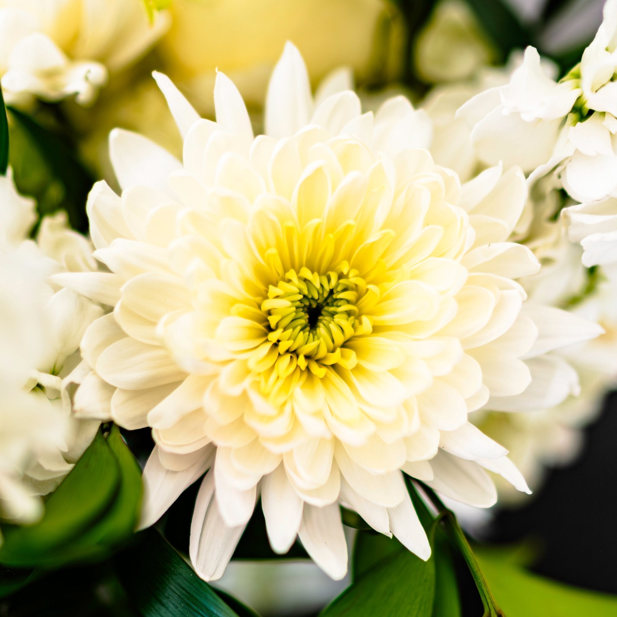 White and Green Floral Arrangement - White Farmhouse Flowers