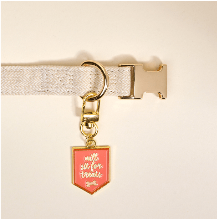 Will Sit for Treats Pawfect Collar Charm - White Farmhouse Flowers