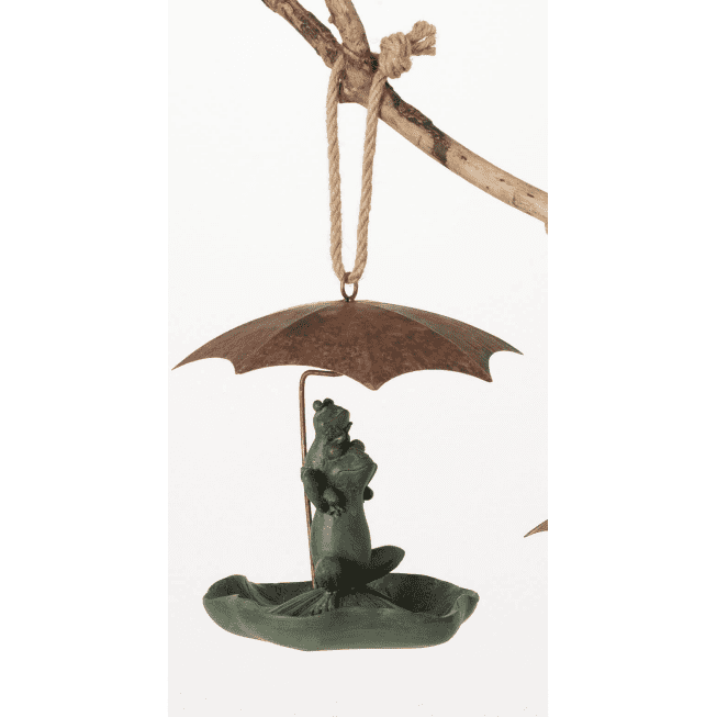Rainy Day Frog Bird Feeder.