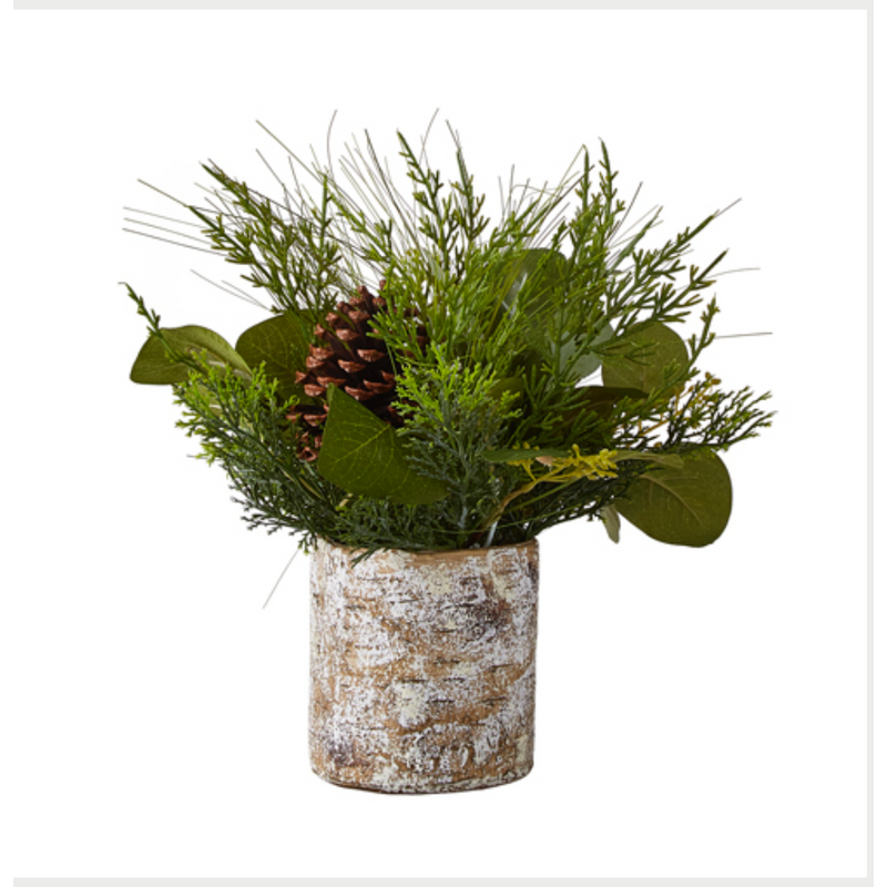 Mixed Cedar in Birch Arrangement.