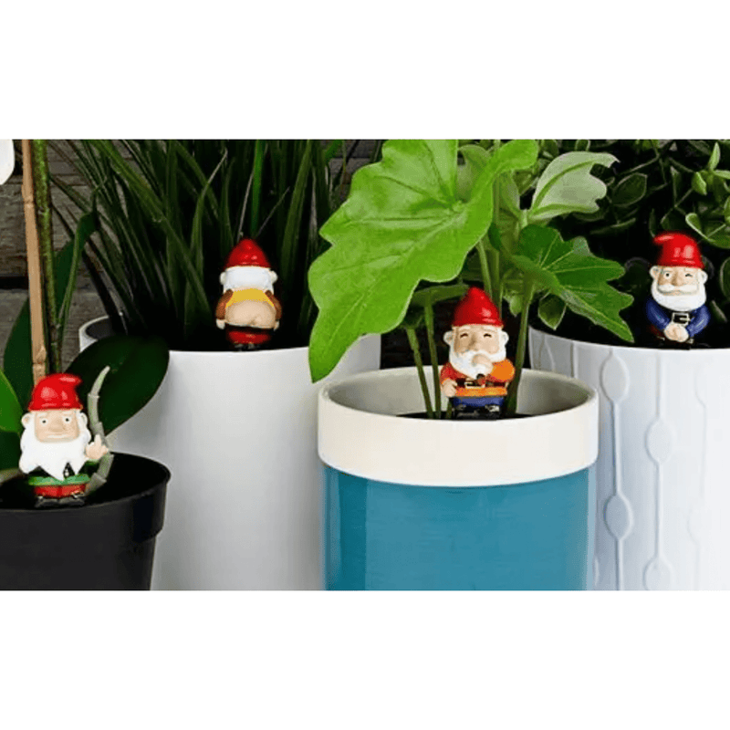 Naughty Gnomes Planters.