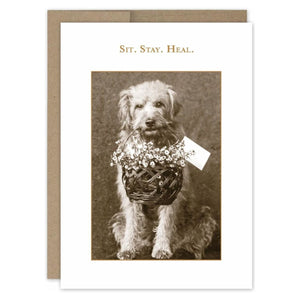 Sit Stay Heal Greeting Card SM338.