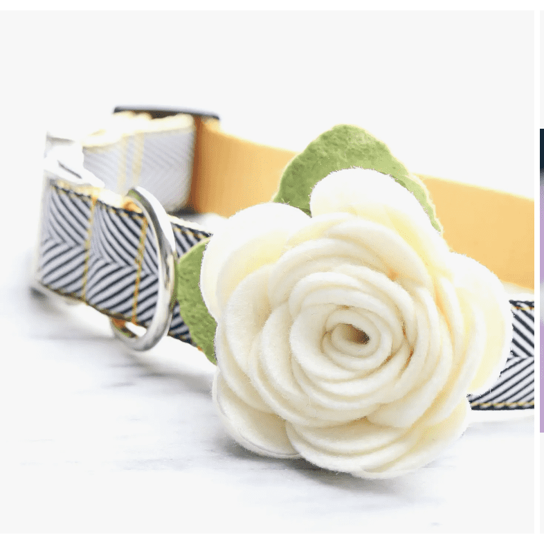 Angel Wings Flower Dog Collar