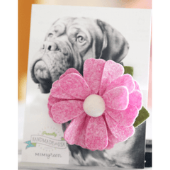 Daisy Flower Dog Collar Pixie Pink.