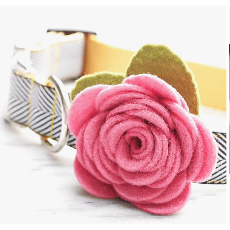 Flower Dog Collar English rose
