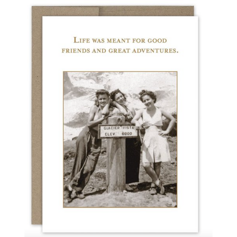 Good Friends  Birthday Card SM588.