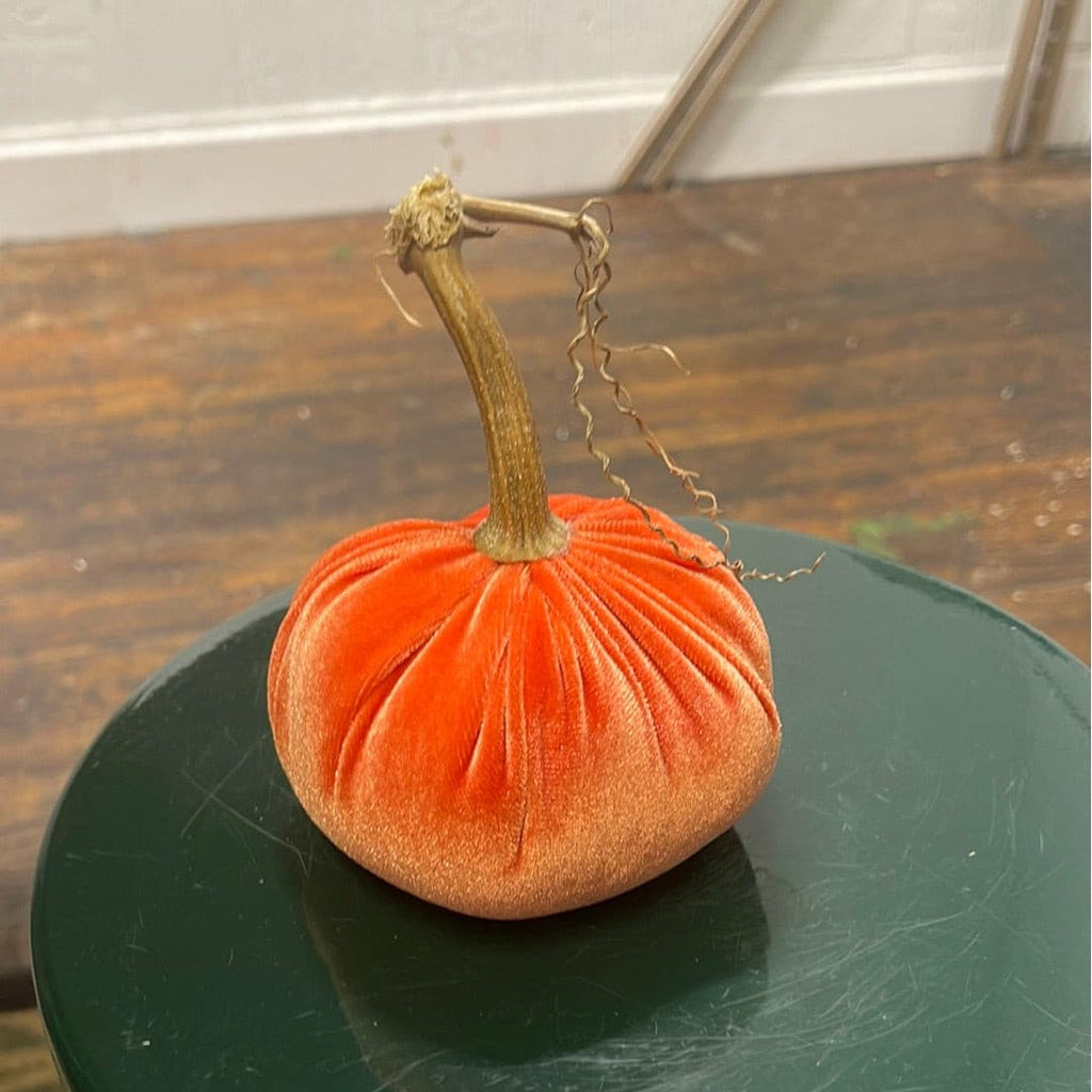 Extra Small Velvet Pumpkin.