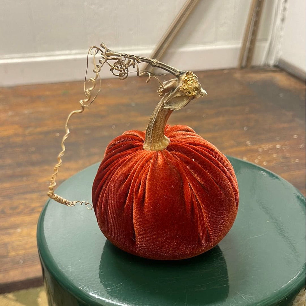 Small Velvet Pumpkin.