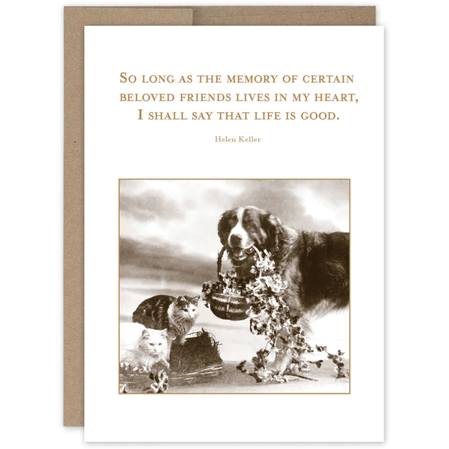 Life is Good Pet Sympathy Card SM090 - White Farmhouse Flowers