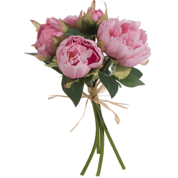 Light Pink Real Touch Peony
